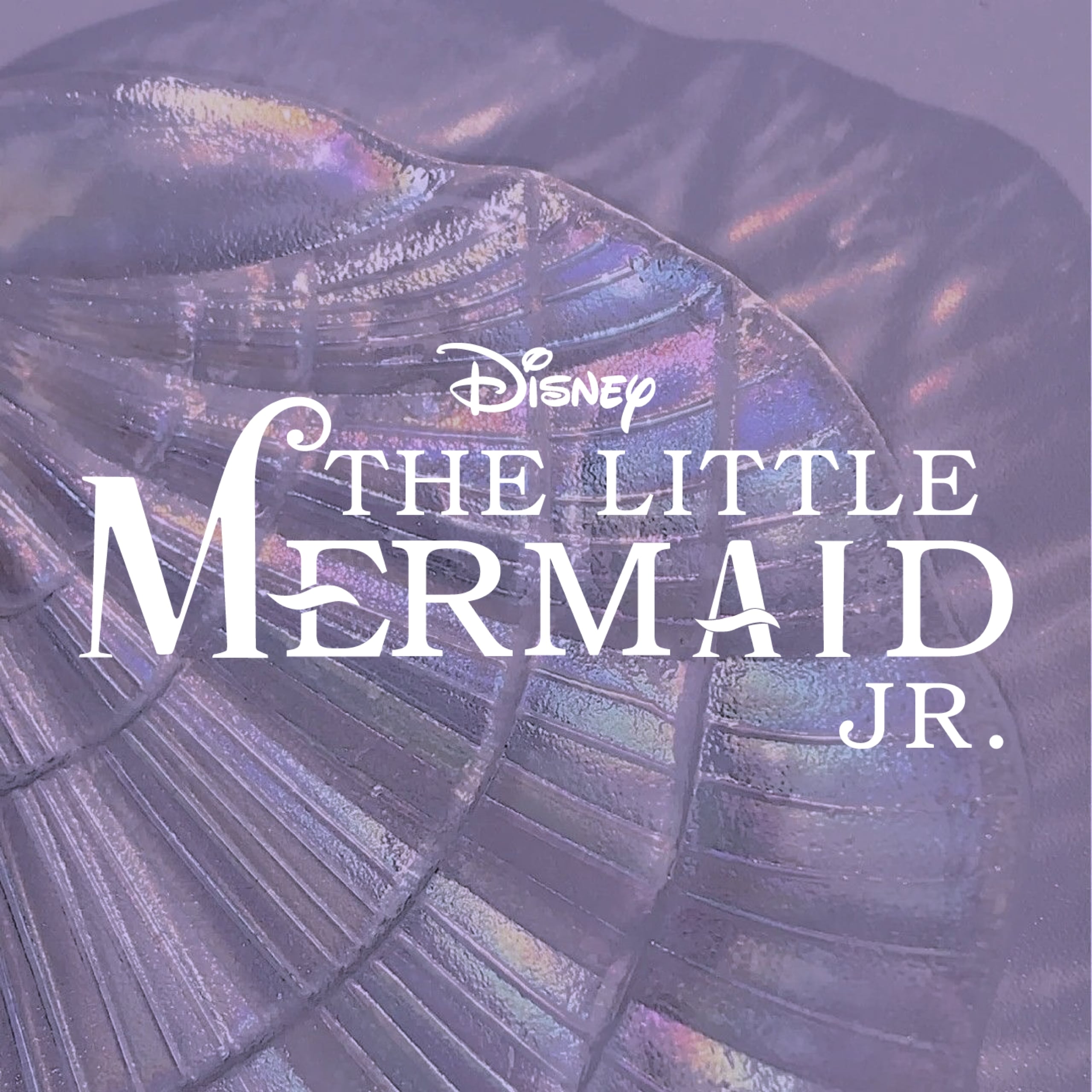 MTI Broadway Junior Collection: Disney The Little Mermaid JR. Actor's Script:  unknown author: 0884088660802: : Books